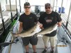 (07/28/2016) - Nice Striped Bass